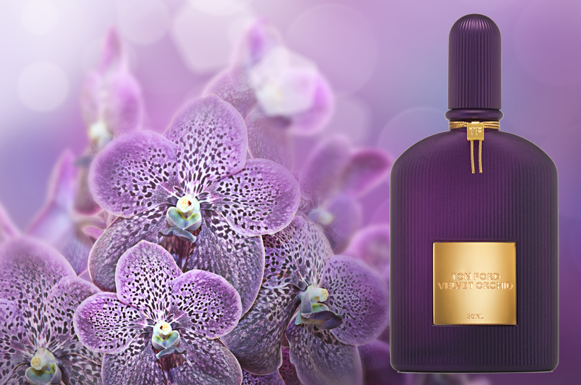 Velvet Orchid Lumière